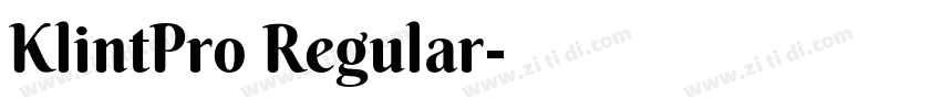 KlintPro Regular字体转换